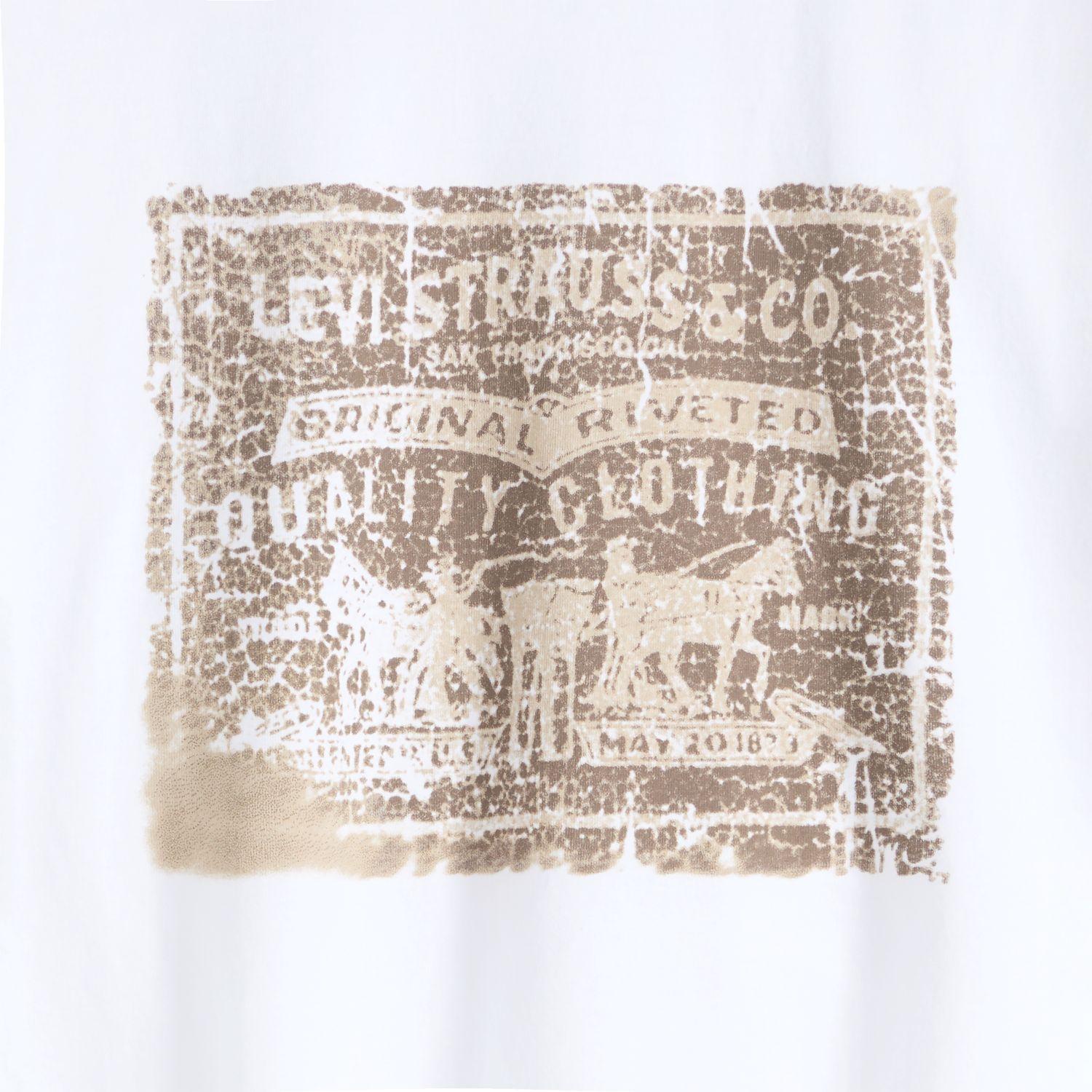 Polera Hombre Ss Relaxed Fit Tee Blanco Levis 16143-2608-4