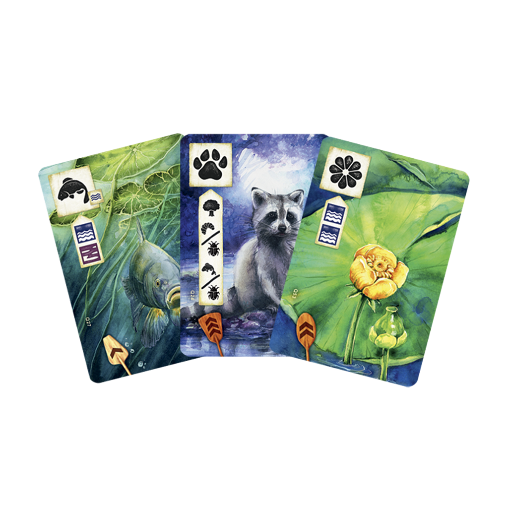 Juego Familiar - Pradera: Río Abajo (Expansión)-2