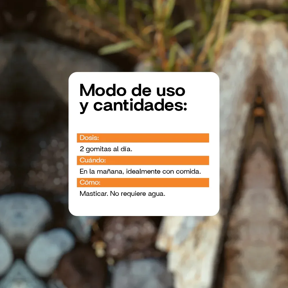 Multivitamínico - Gomitas 60 Unidades-3