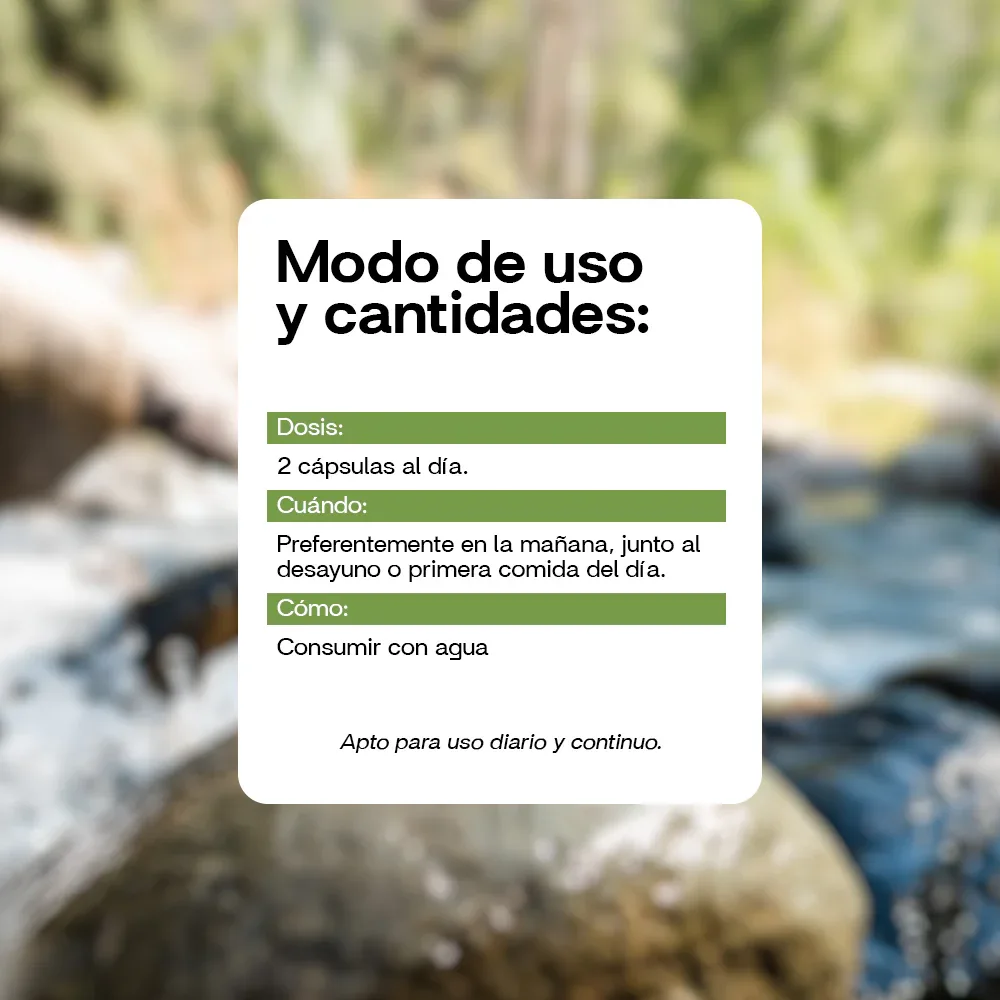 Fungi Complex - Cápsulas 60 Unidades-3