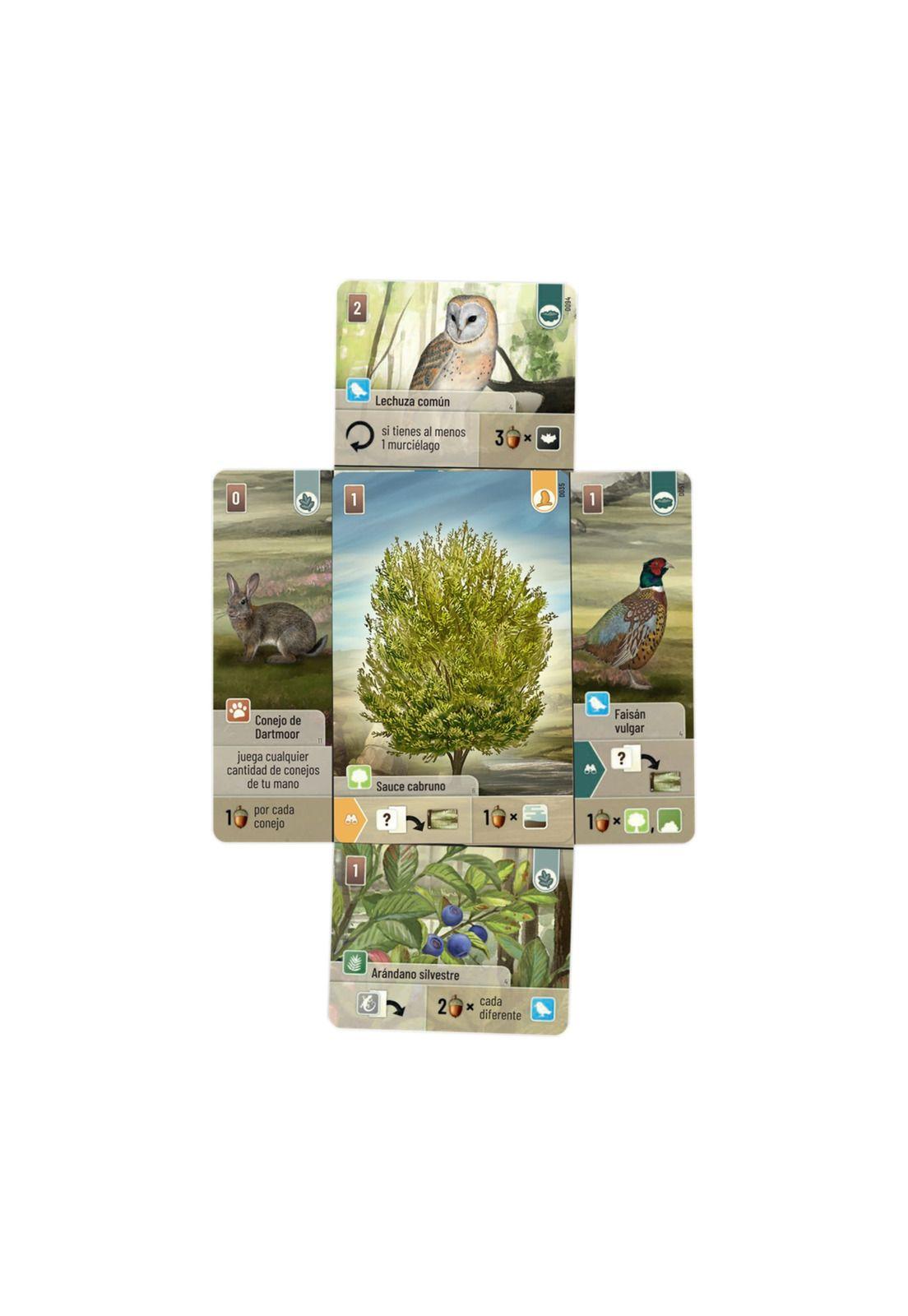 Dartmoor - Forest Shuffle-3