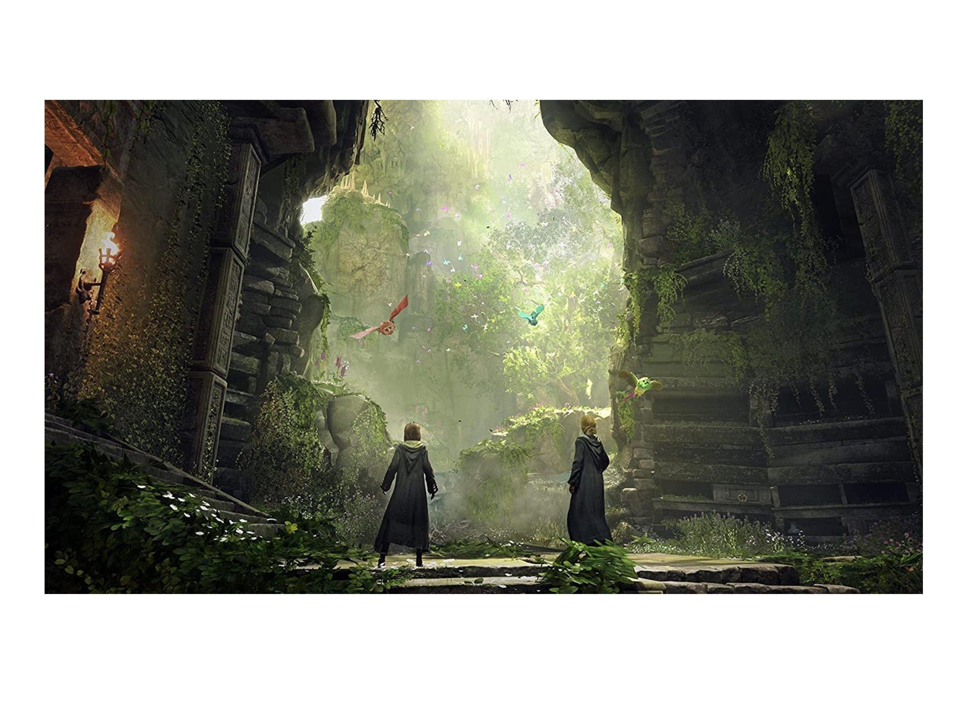 Videojuego Hogwarts Legacy (Europeo) - Xbox One-4