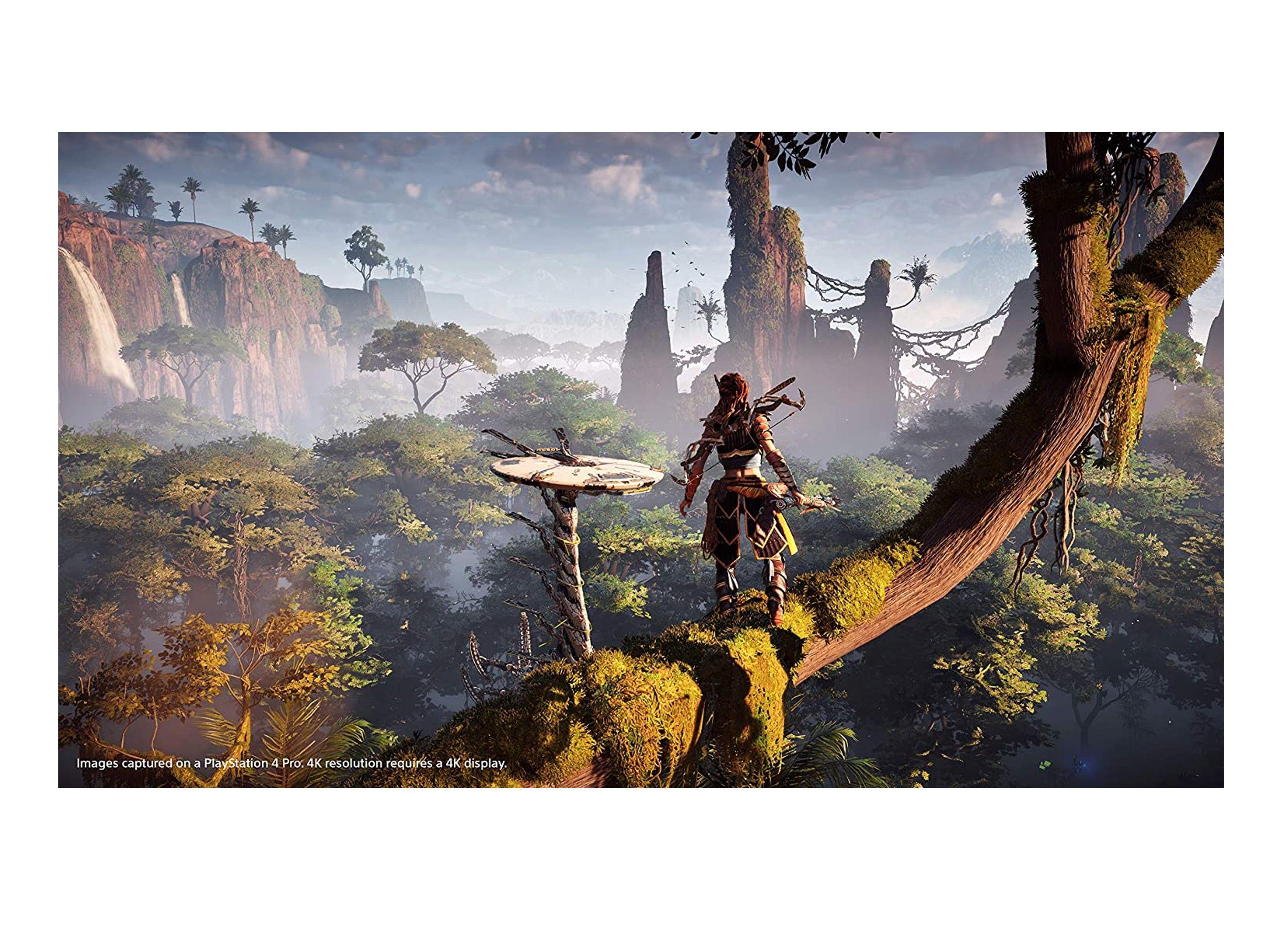 Videojuego Horizon Zero Dawn Edicion Completa - PS4-3