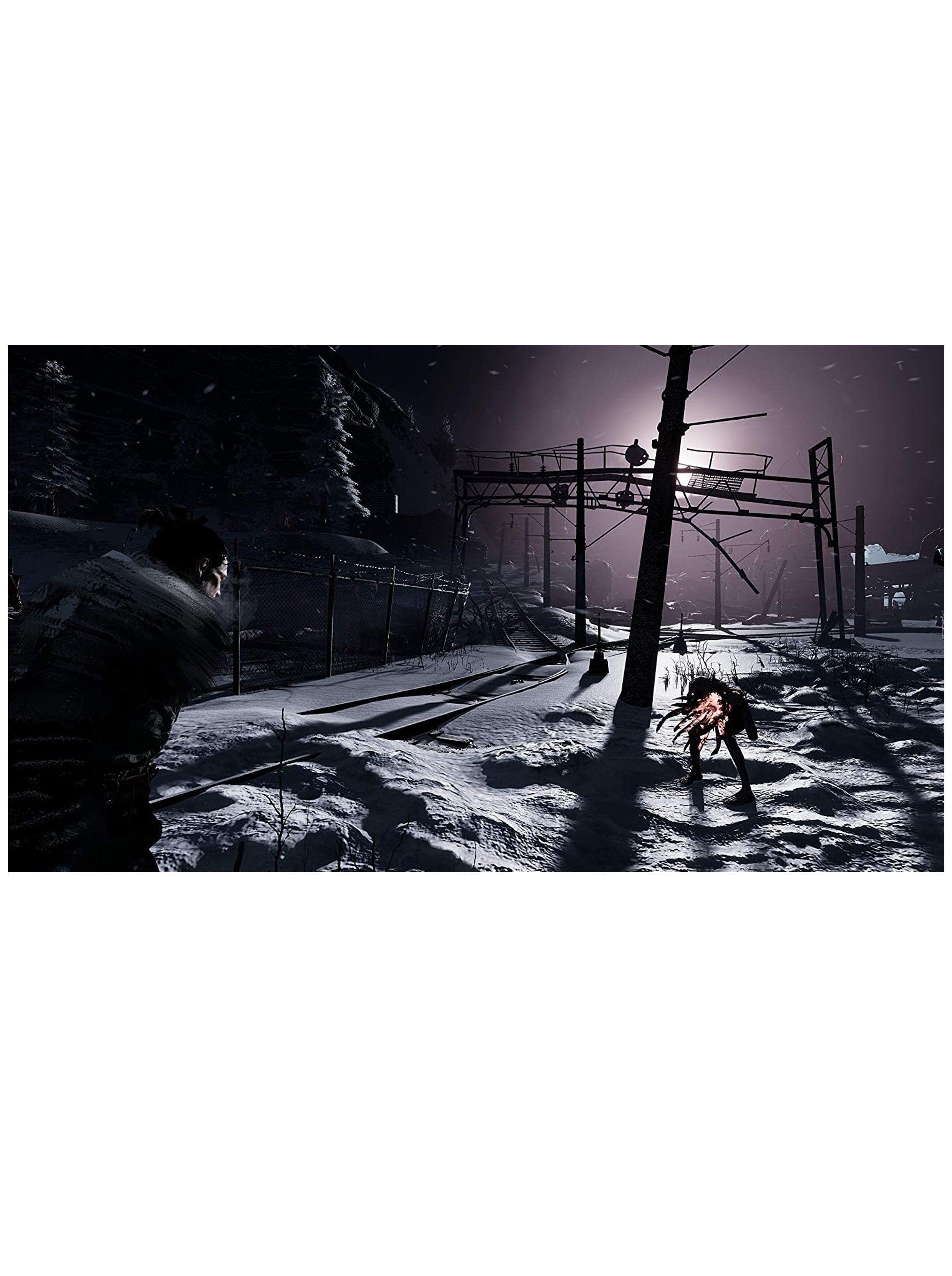Videojuego Fade To Silence - PS4-4