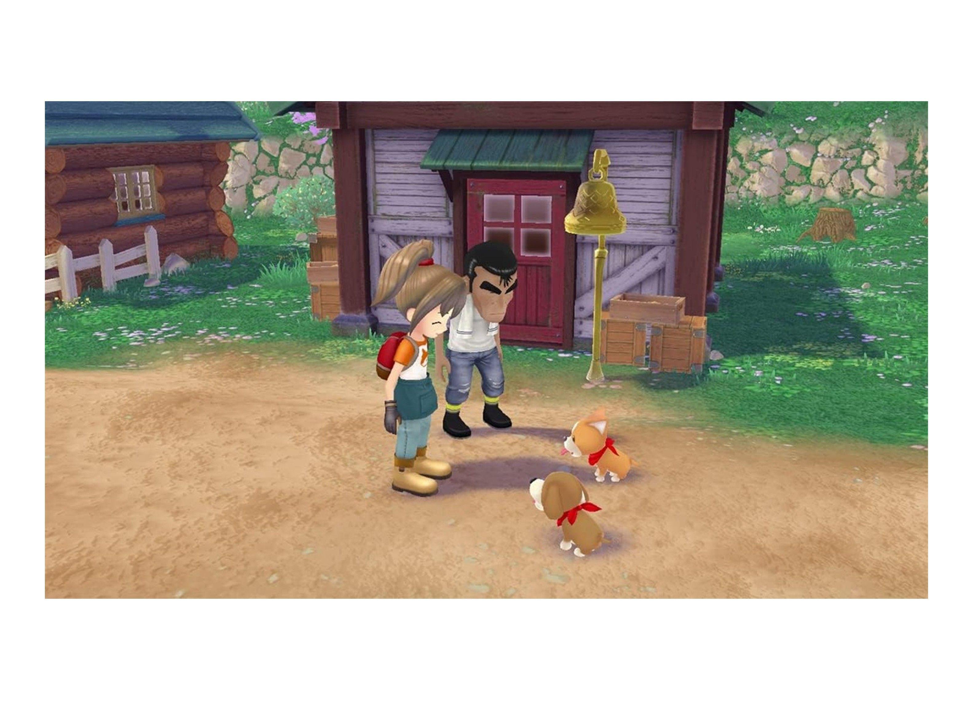 Videojuego Story Of Seasons: A Wonderful Life - Nintendo Switch-2