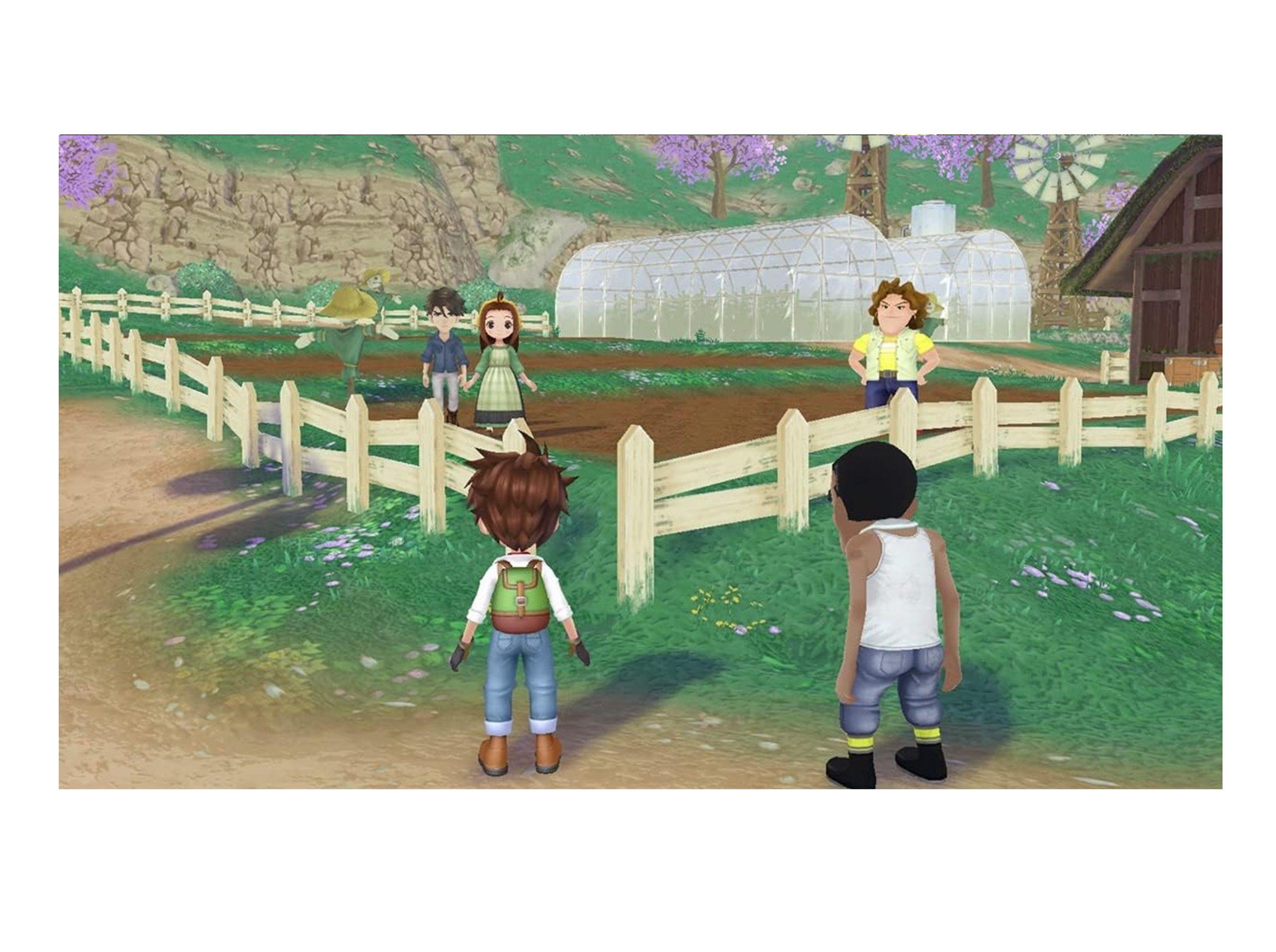 Videojuego Story Of Seasons: A Wonderful Life - Nintendo Switch-3