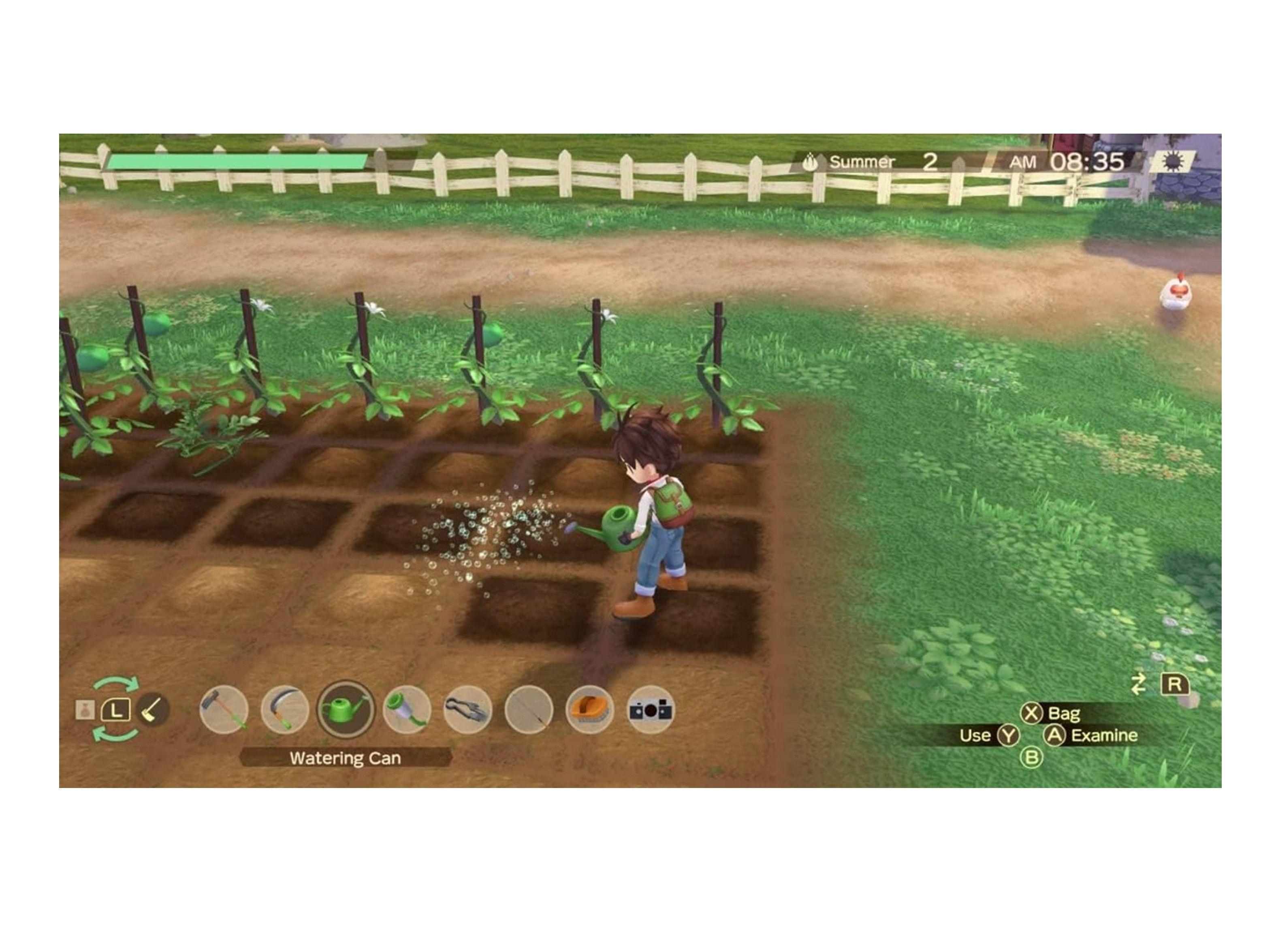 Videojuego Story Of Seasons: A Wonderful Life - Nintendo Switch-4