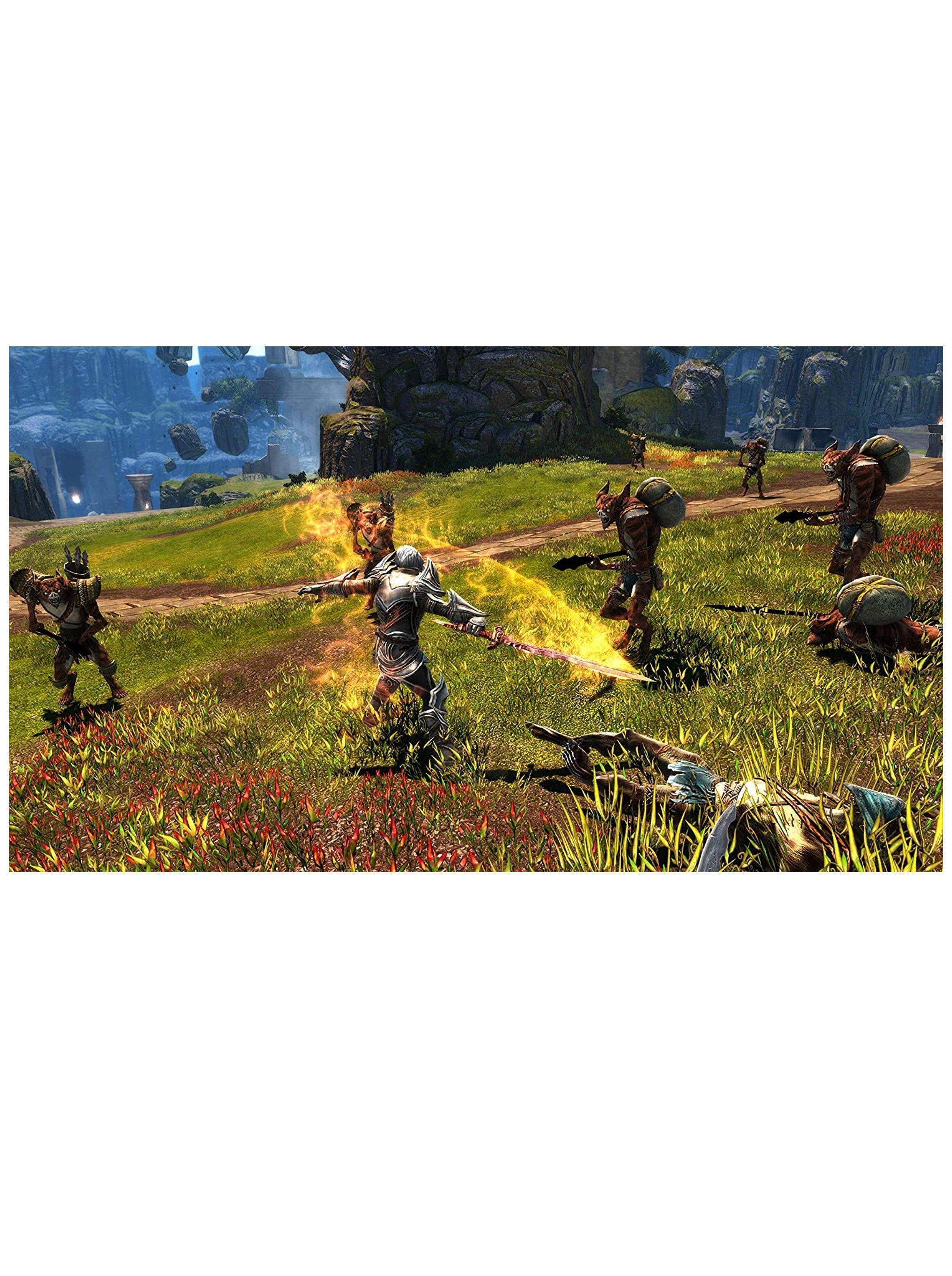 Videojuego Kingdoms Of Amalur: Re-Reckoning - PS4-4