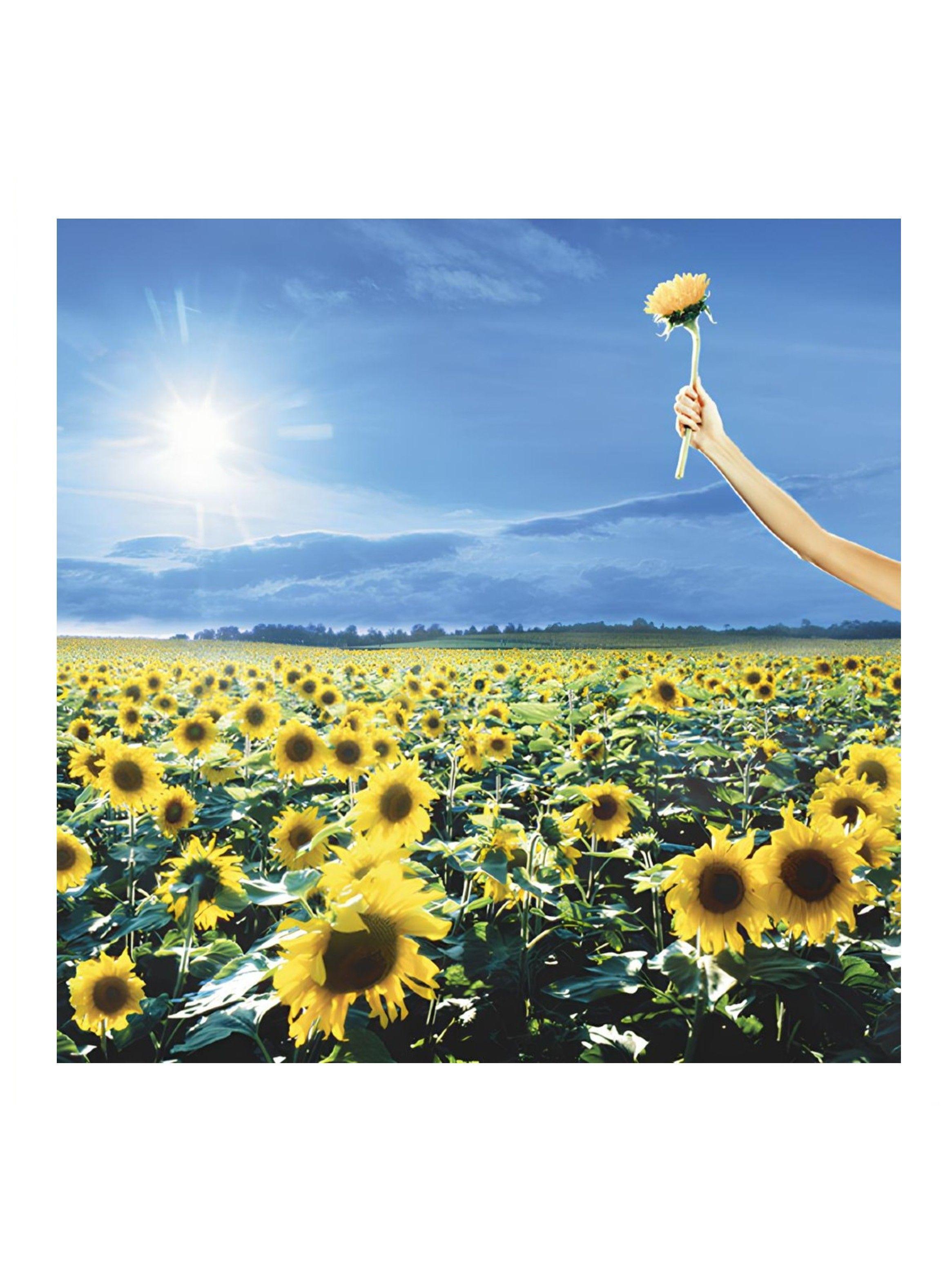 CD - Stone Temple Pilots - Thank You-0