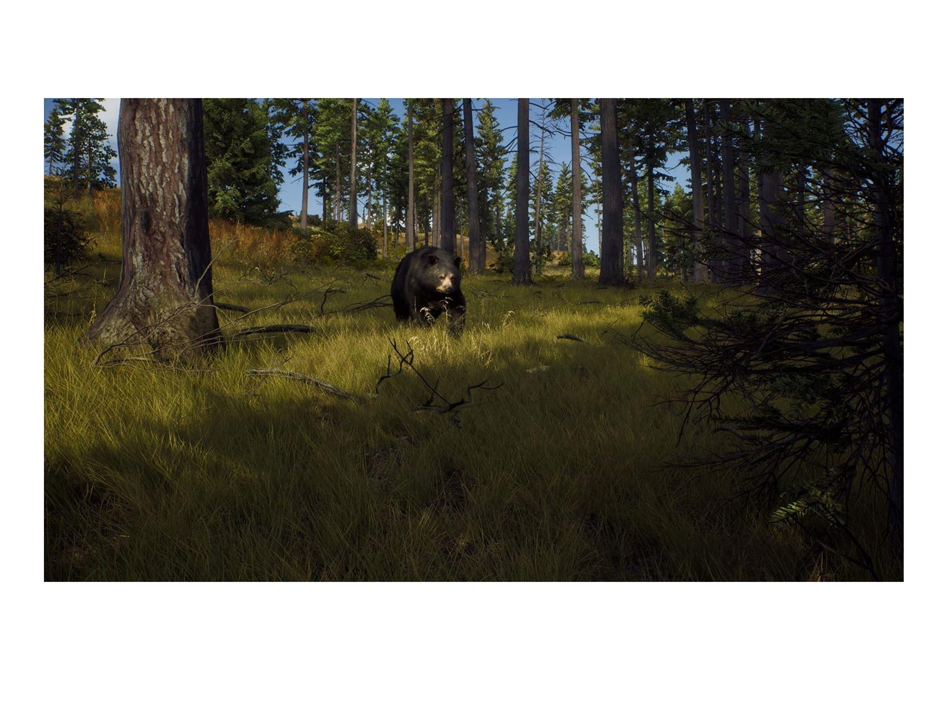 Videojuego Way Of The Hunter - PS5-2