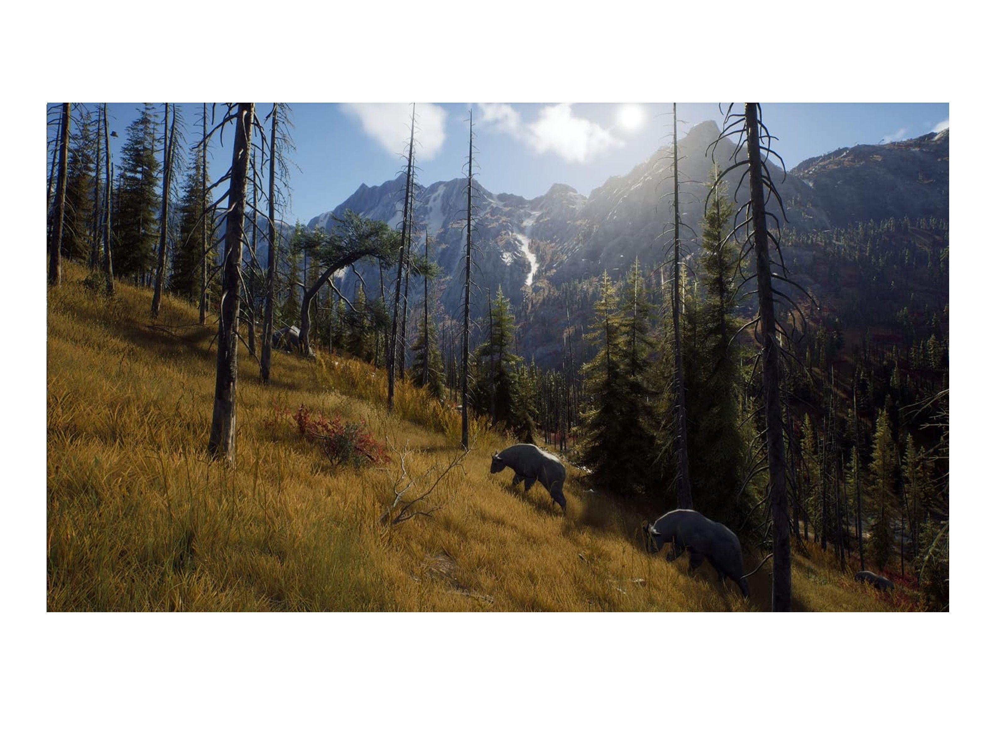 Videojuego Way Of The Hunter - PS5-4