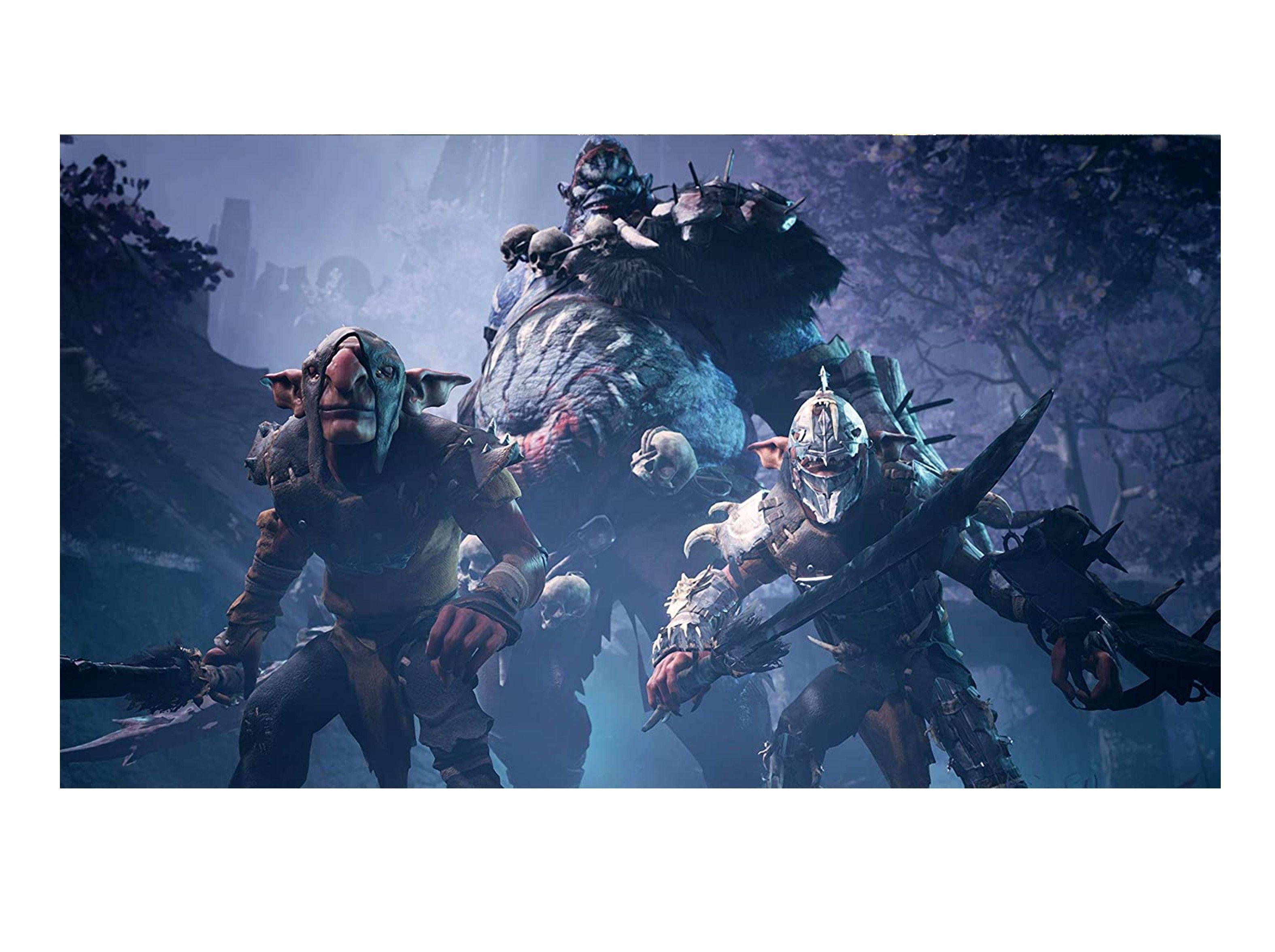Videojuego Dungeons & Dragons: Dark Alliance - PS4-3