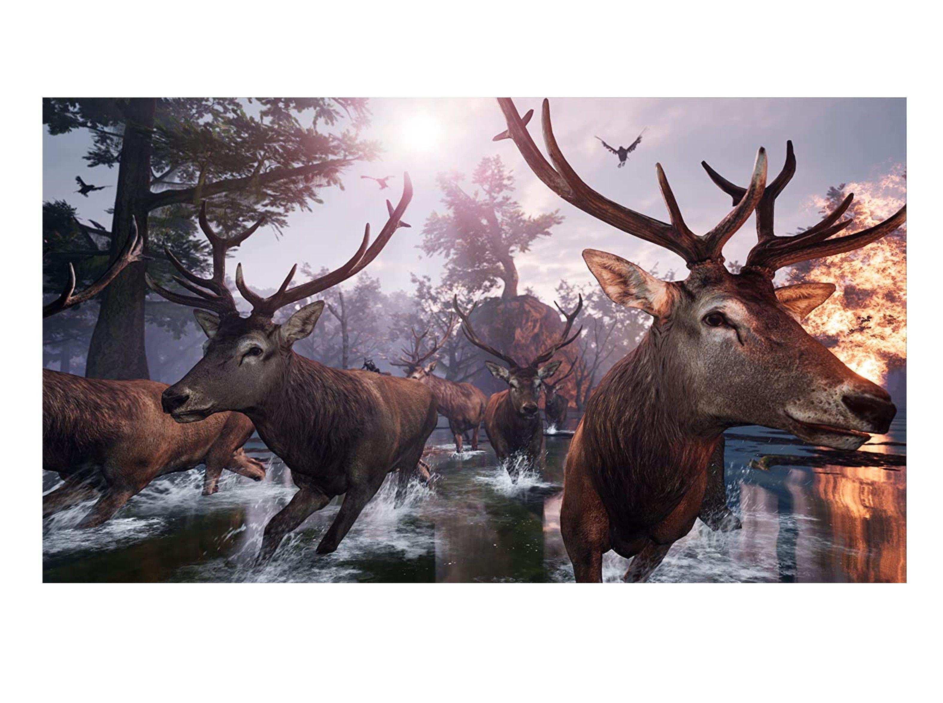 Videojuego Away: The Survival Series (Europeo) - PS5-4