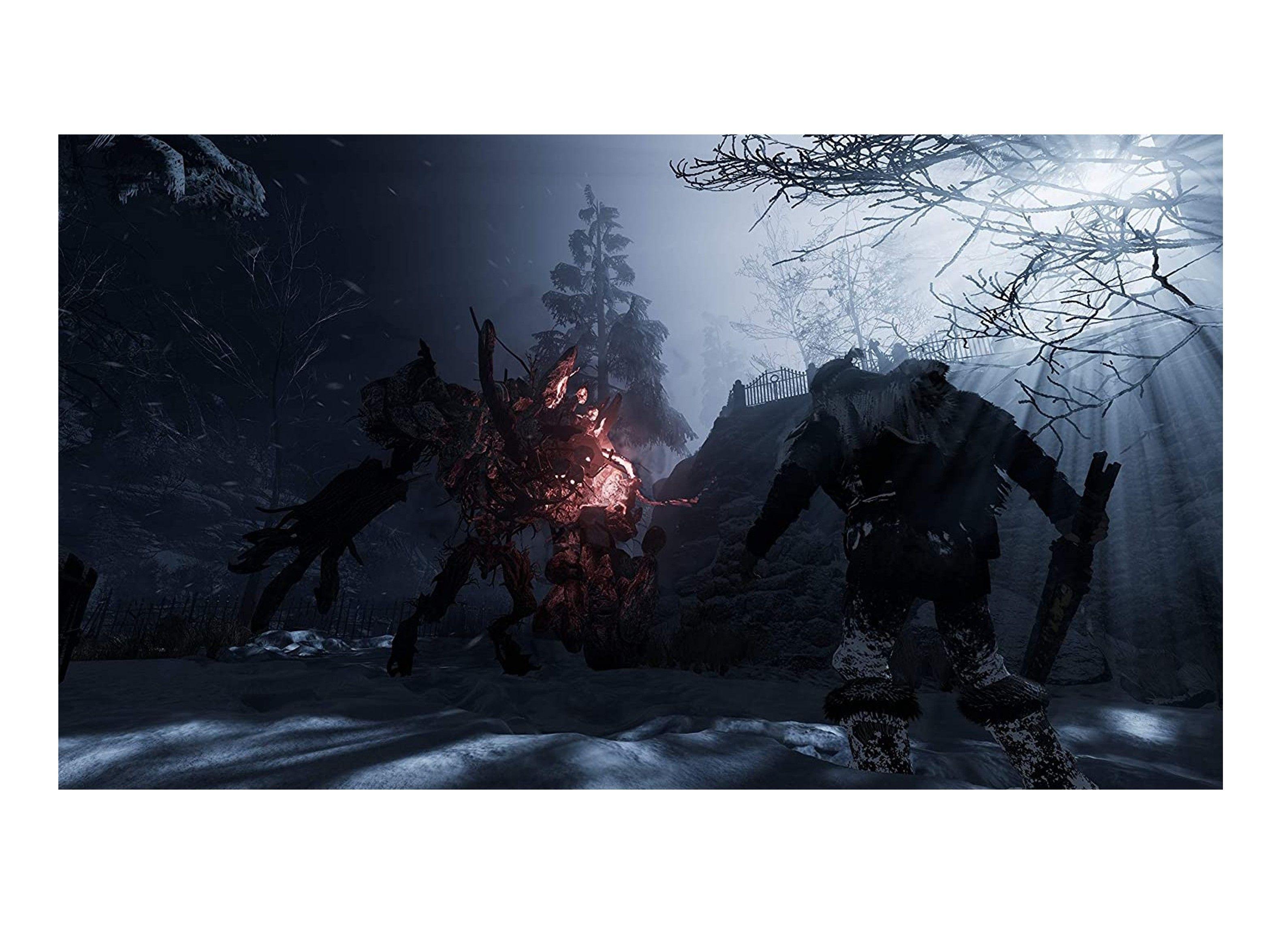 Videojuego Fade to Silence (Europeo) - PS4-2
