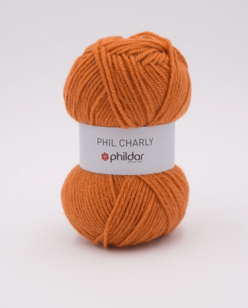 Dos ovillos lana charlie 100% acrílico ecureuil-0