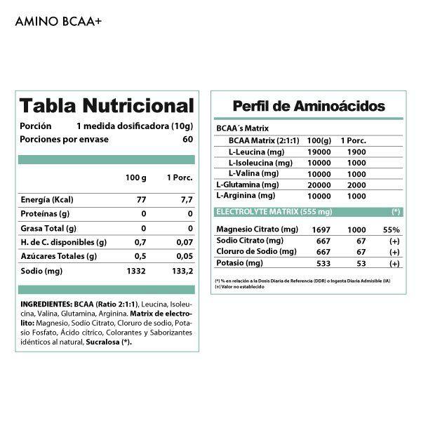 Amino BCAA Sabor Melon tuna 600 grs. 60 servicios-1