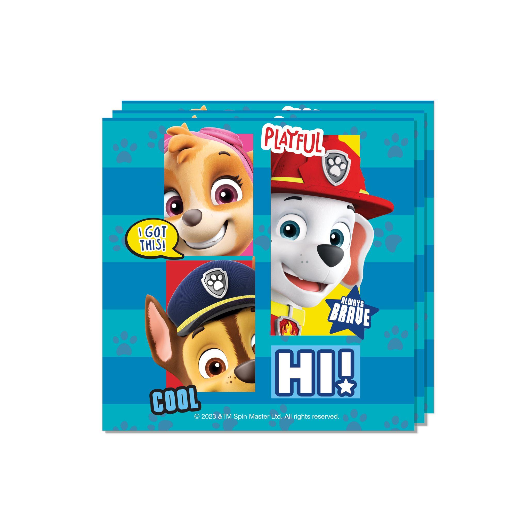 Set Cumpleaños Paw Patrol para 6 Personas Pronobel-4