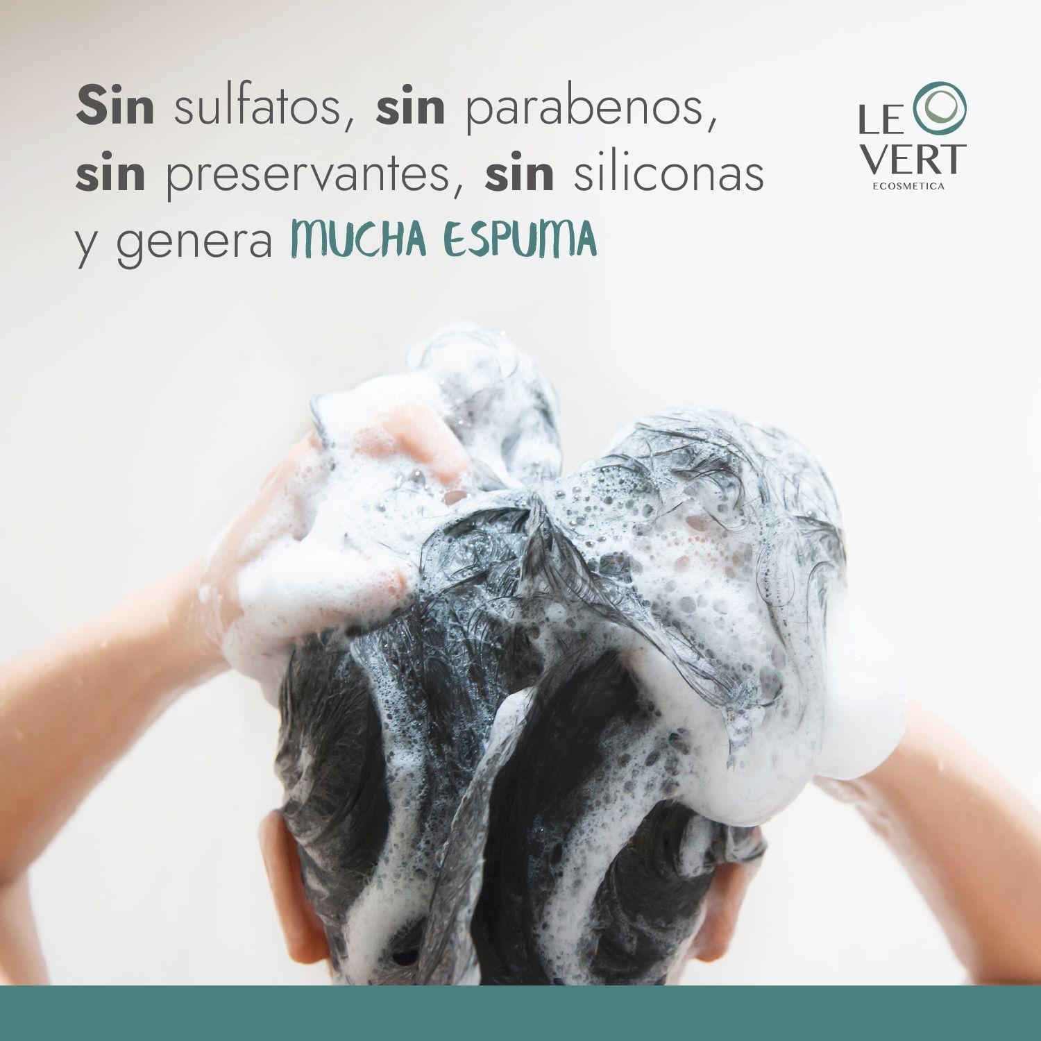 Shampoo en Barra Le Vert Cabello Graso-1