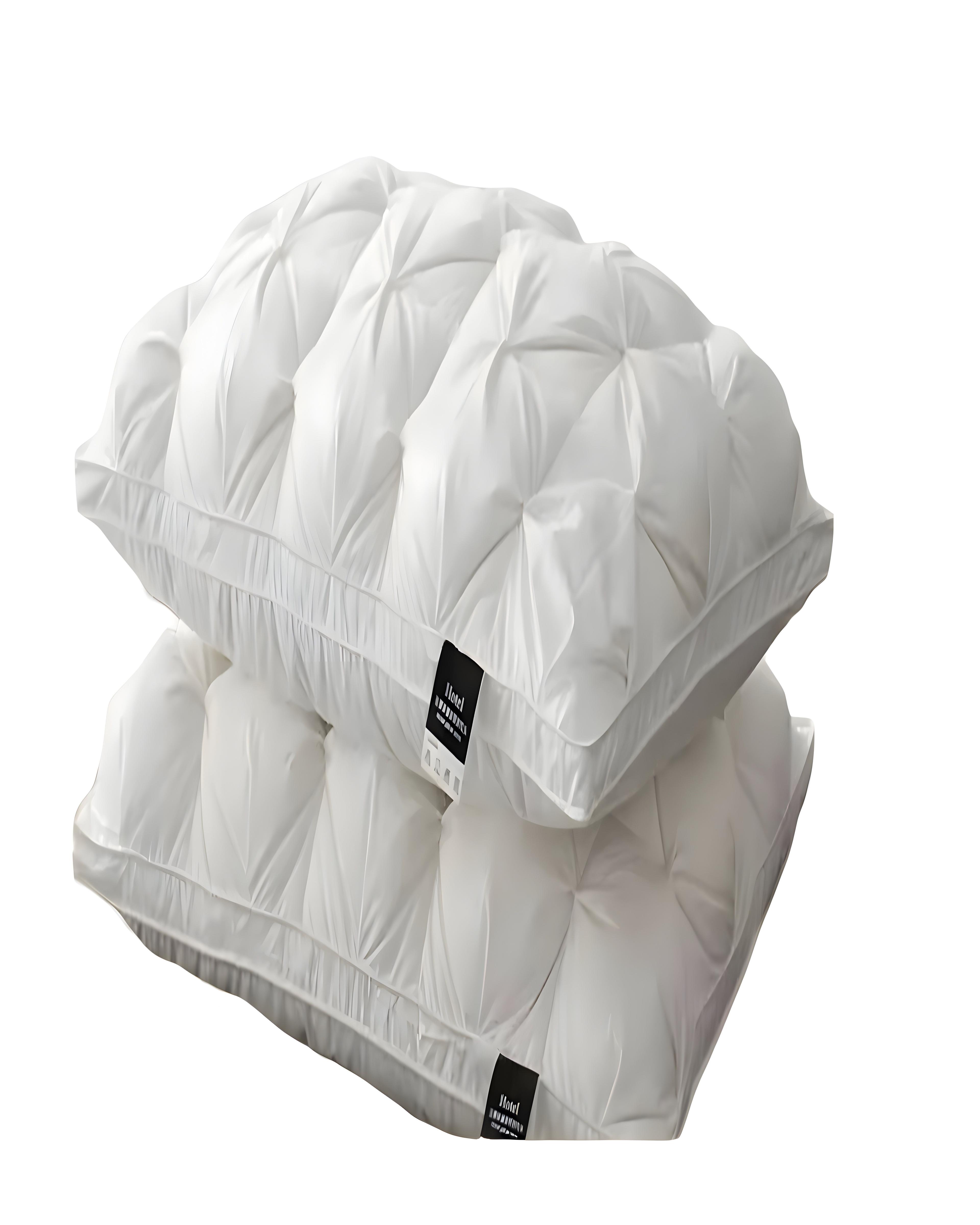 PACK DE 2 ALMOHADAS - BLANCO PREMIUN  DOBLE PILLOW 50X70-3