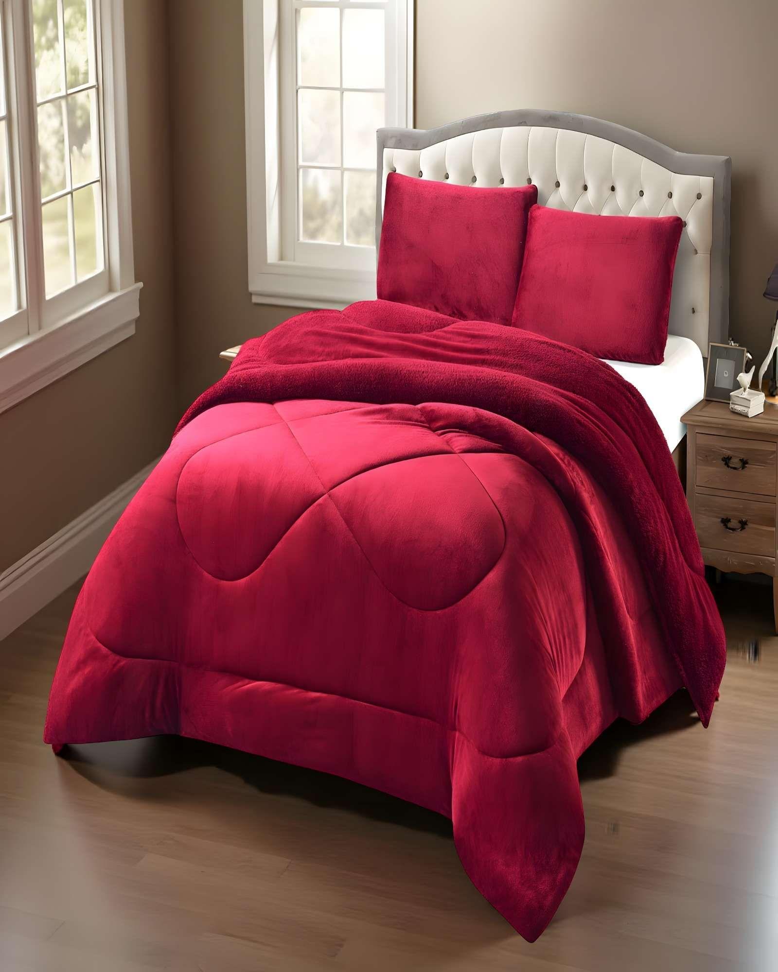 COBERTOR DE INVERNO PLUSH CON CHIPORRO CS PLAZA Y MEDIA BURDEO-2