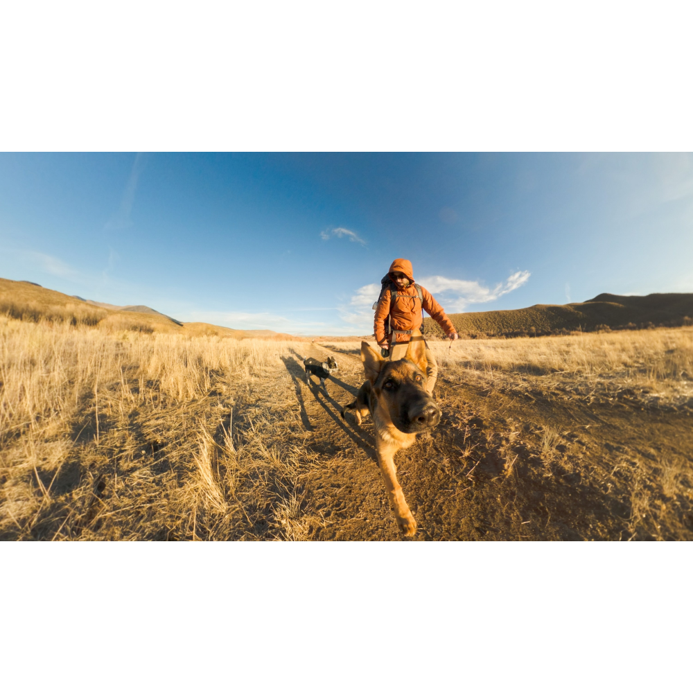 Camara GoPro MAX2 + Accessories Bundle-6