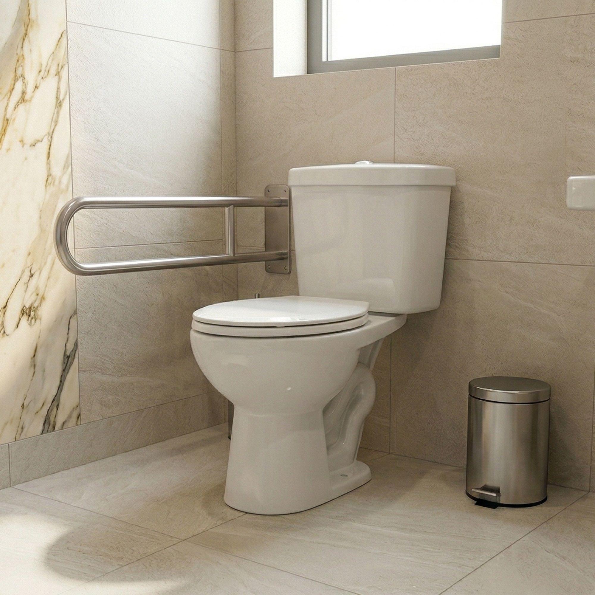 WC Inodoro Two Piece para Discapacitados Descarga a Piso 30 cm-1