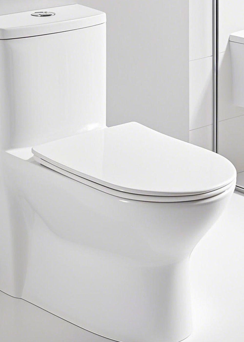 WC One Piece Joytek Millenium 8018 Descarga a Piso 30 cm-2