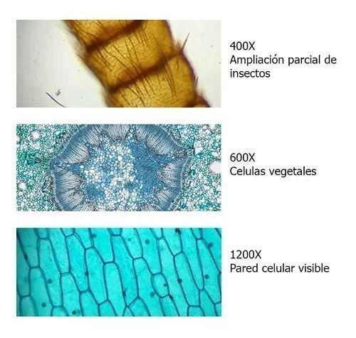 Set Microscopio + Kit De Accesorios 1200x Maletin Plastico-3