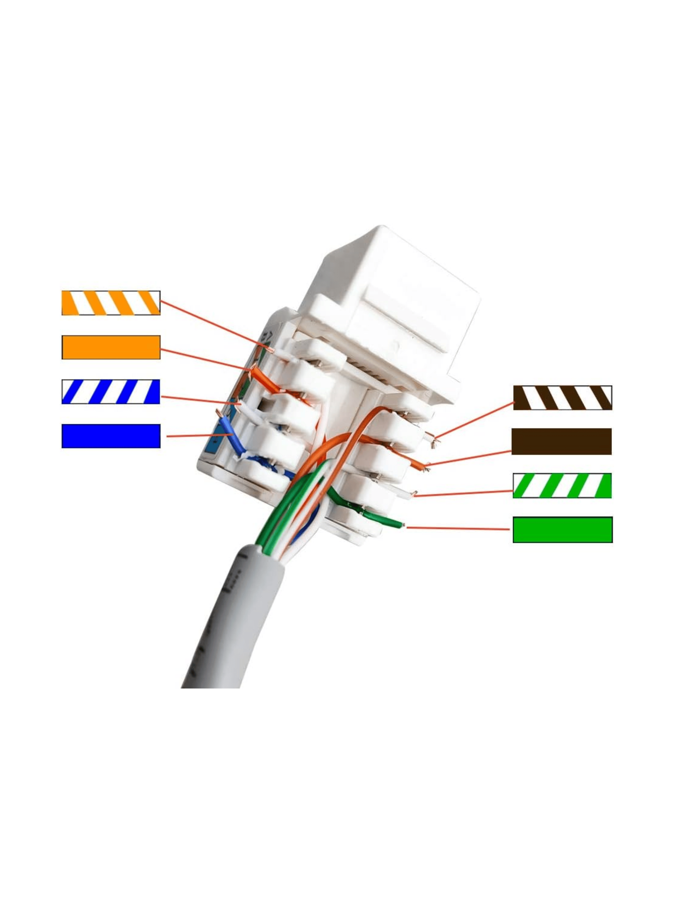 Modulo Rj45 Cat6 De Red Jack Keystone Con Tapa Muro-3