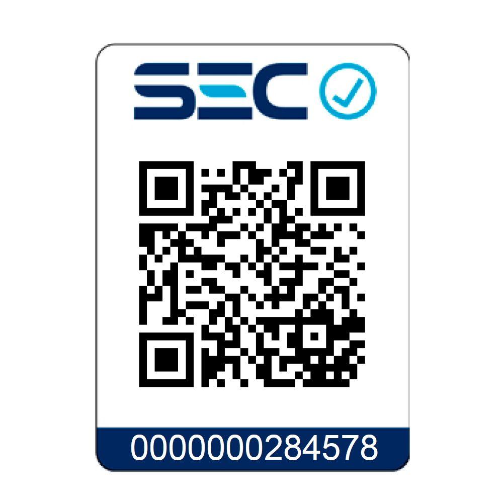 Cepillo alisador HS-60-2