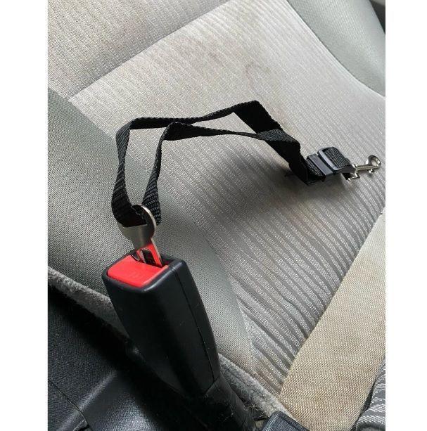 Cinturón de seguridad de coche para perros arnes mascotas correa para auto gatos y canes-3
