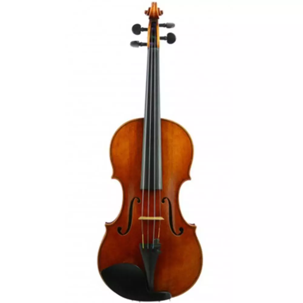 VIOLIN 4/4 NATURAL ALAGUEZ-2