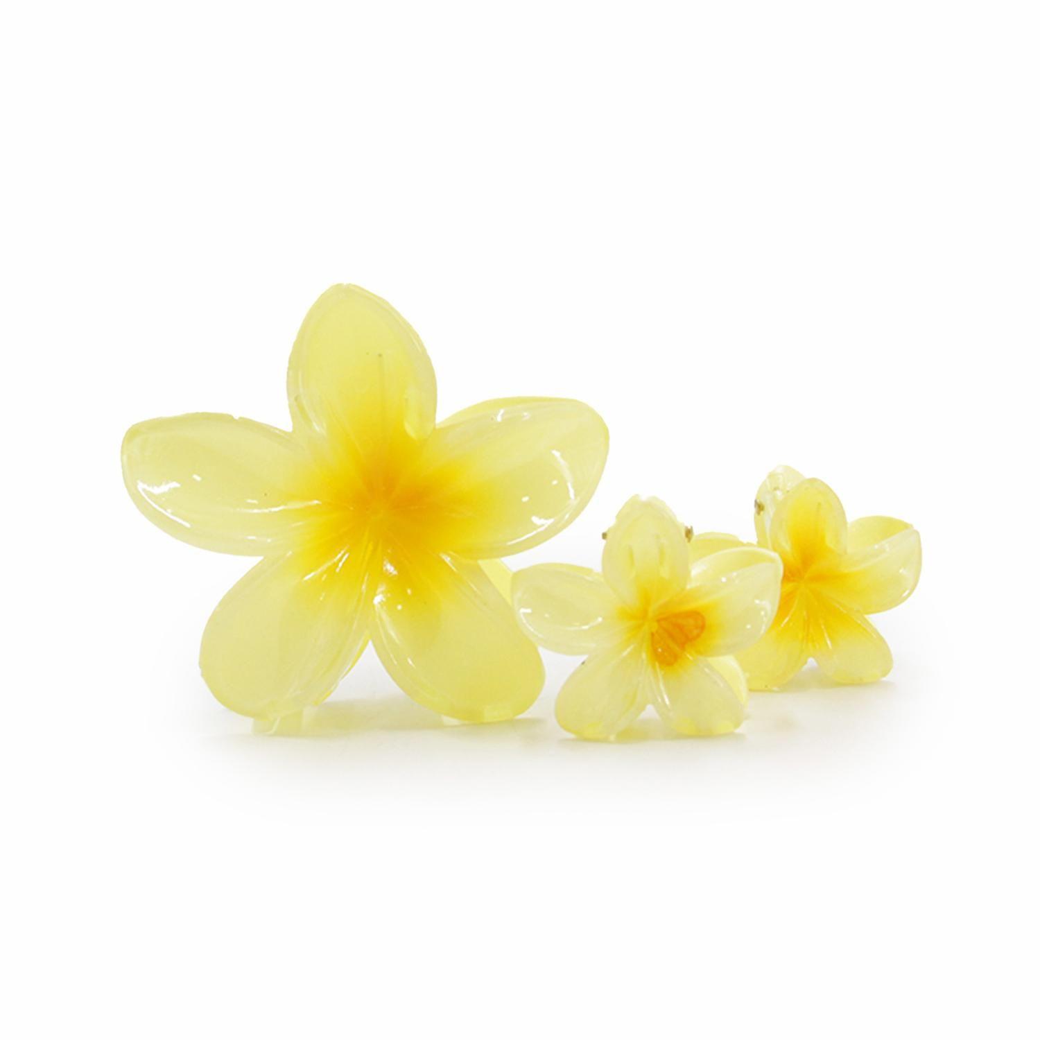 Pinche Traba Para Cabello trio Flor Hawaiana-1