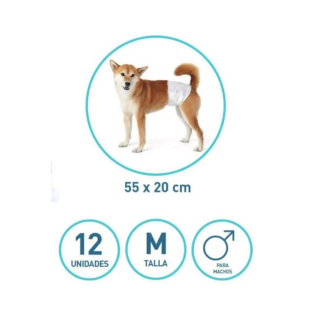 12 Pañales Para Perro Macho M-1