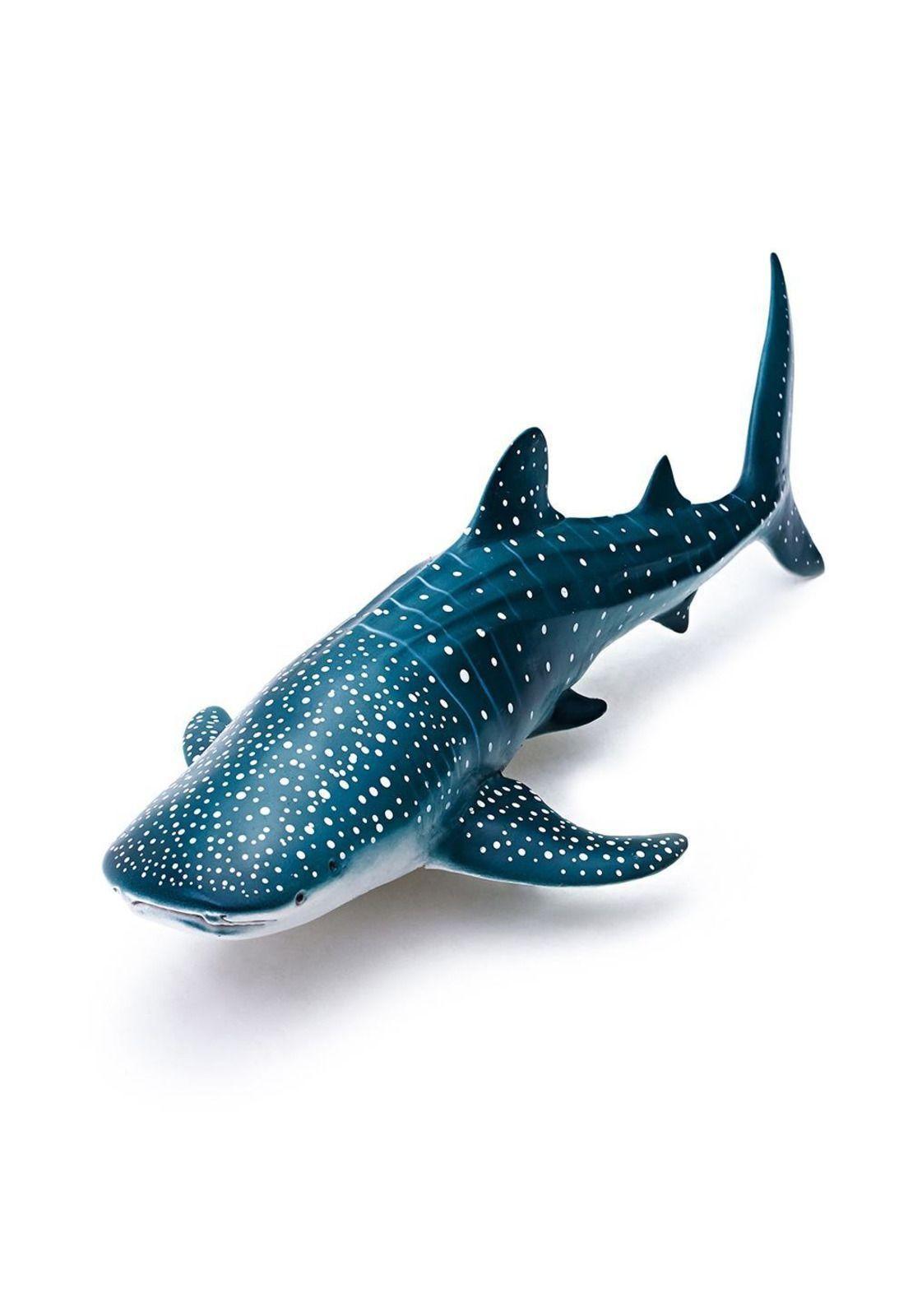 Ballena Rhincodon Typus Recur-2