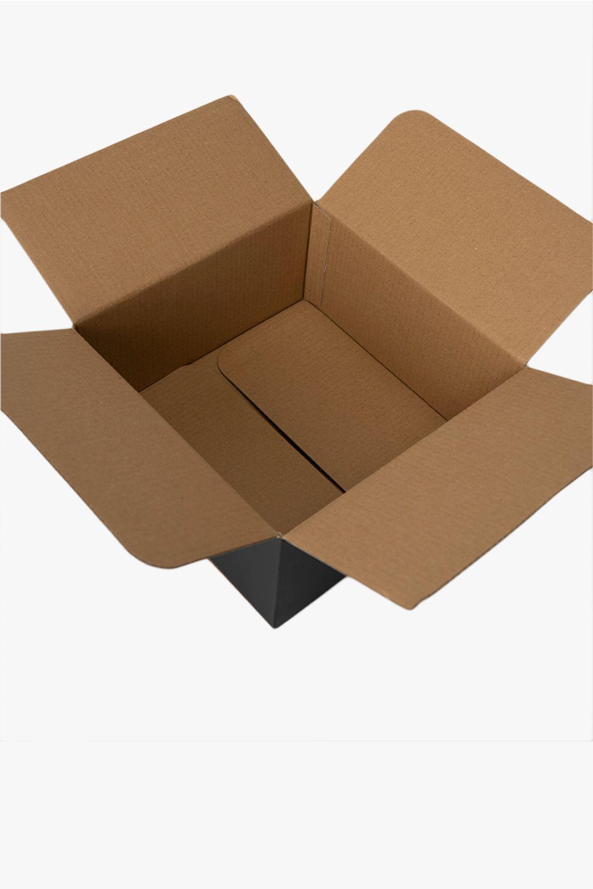 Pack 50 Cajas Envío 20x20x10 cm Negro Chinitown-3