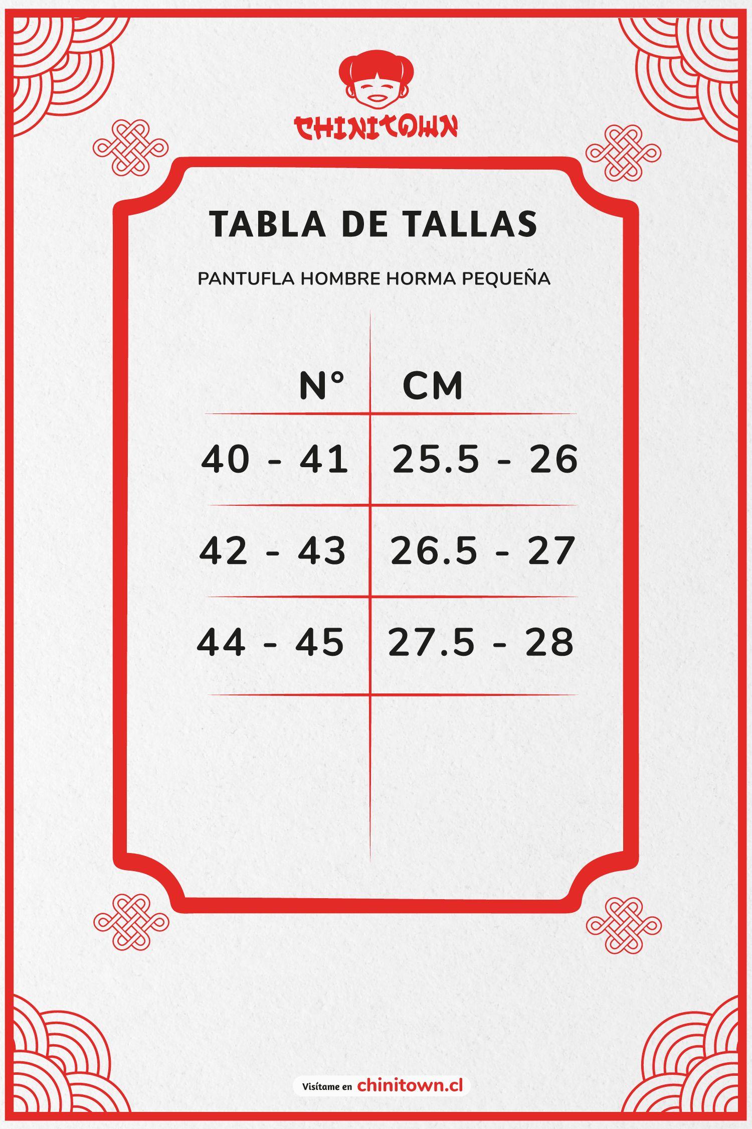 Pantuflas Hombre Gris Plenitud Carbin-3