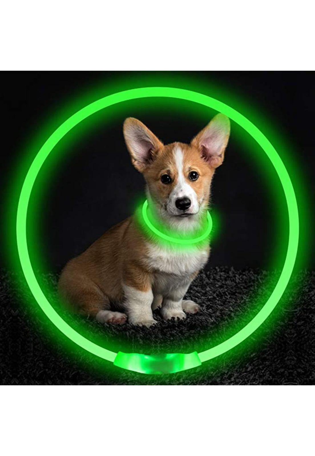COLLAR CON LUZ DE GOMA VERDE MASCOTA USB TALLA S-1