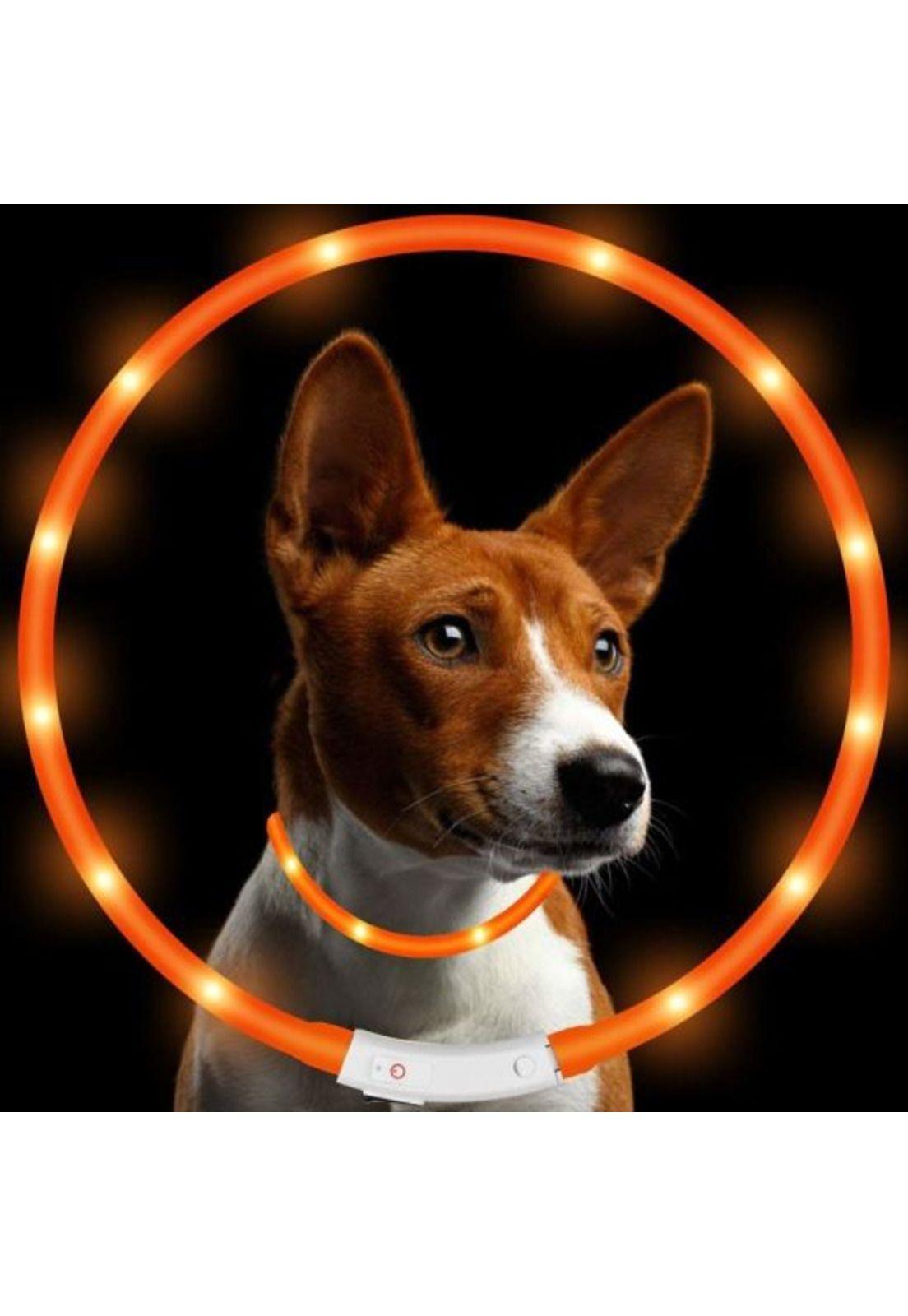 COLLAR CON LUZ DE GOMA NARANJA MASCOTA USB TALLA M-1
