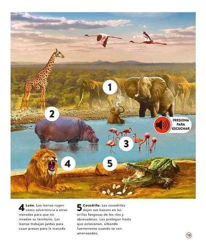 Libro El Reino Animal 50 Increibles Sonidos - Lexus - Nuevo-2