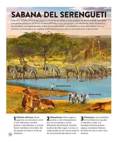 Libro El Reino Animal 50 Increibles Sonidos - Lexus - Nuevo-3