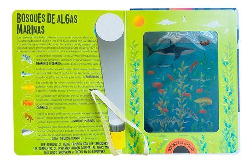 Animales Marinos: Busca Y Encuentra Linterna, De Susie Rae. N/a, Vol. 1.-1