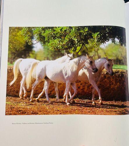 Libro The Arabian Horse - Caballos Arabes - Konemann/idiomas-1