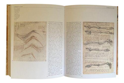 Libro Leonardo Anatomia Y Vuelo - Lexus - Nuevo Y Original-2