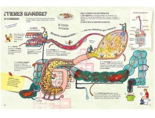 El Cuerpo Humano - Descubre - Lexus-2