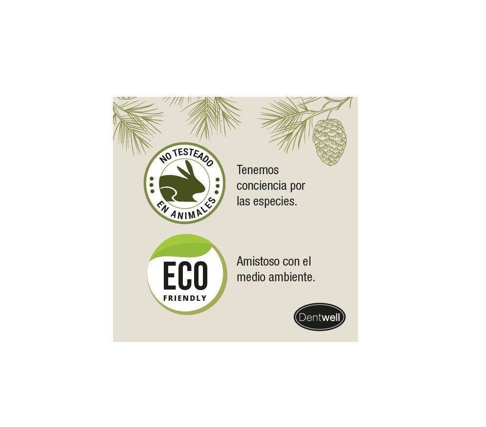 Eco Brush Dental Cepillo de Dientes Dentwell-2