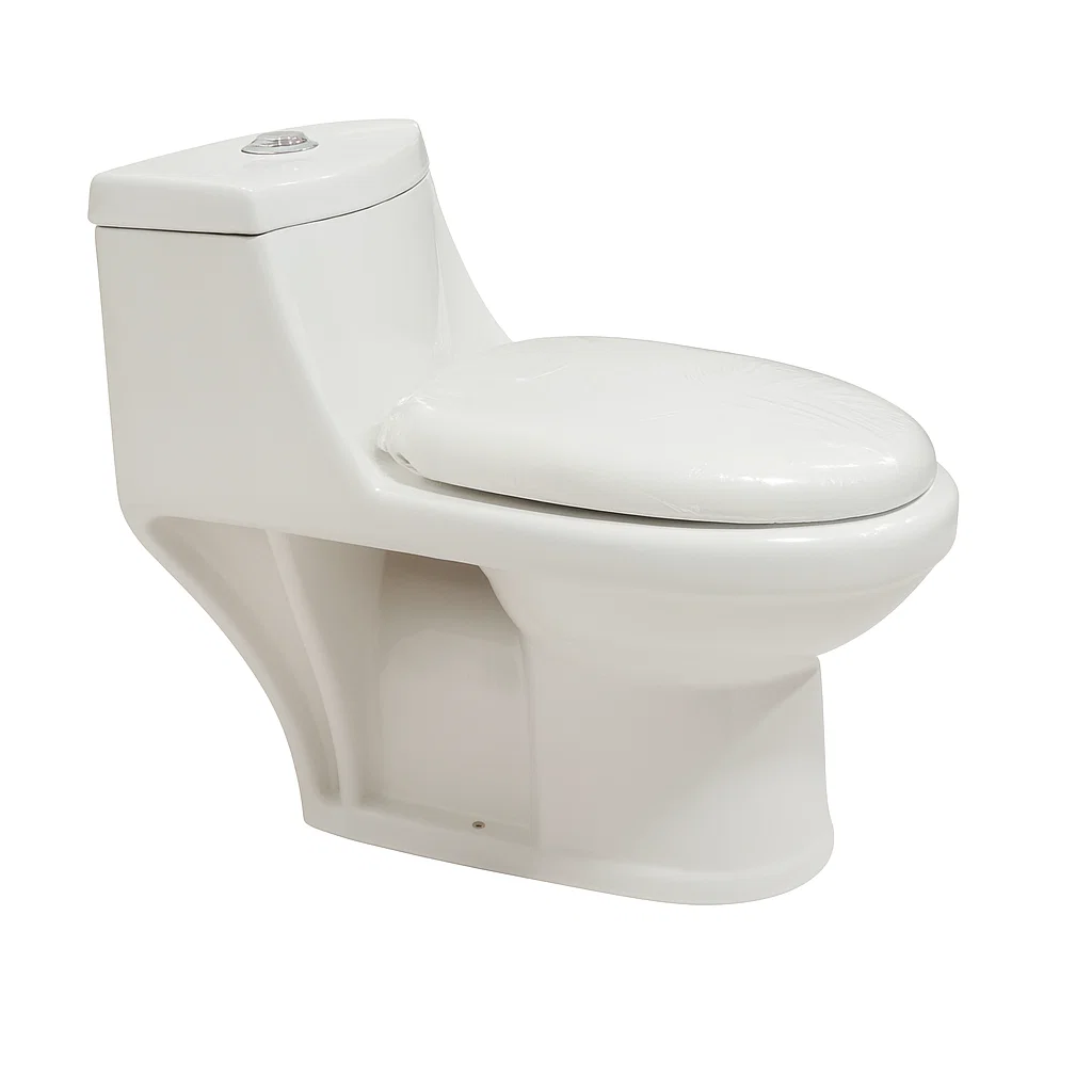 Sanitario One Piece Premium-1