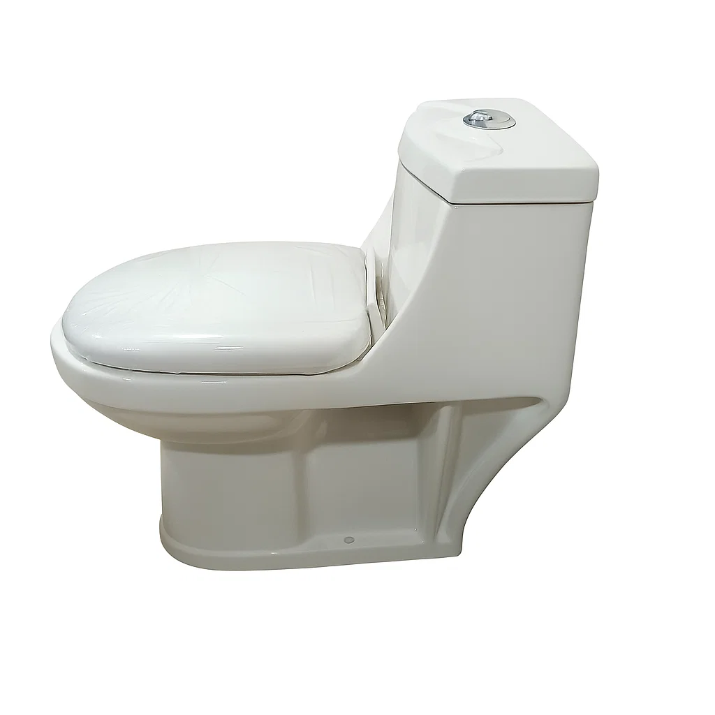 Sanitario One Piece Premium-3