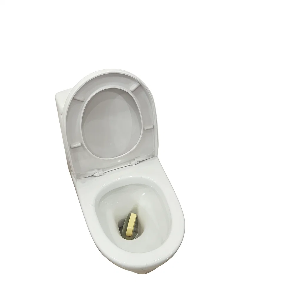 Sanitario One Piece Premium-6