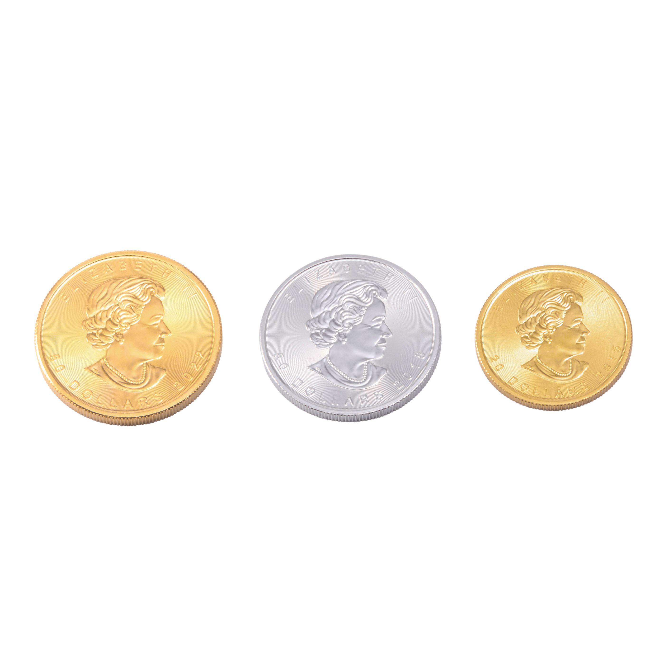Moneda de Platino Canadiense RCM 1 OZ-4